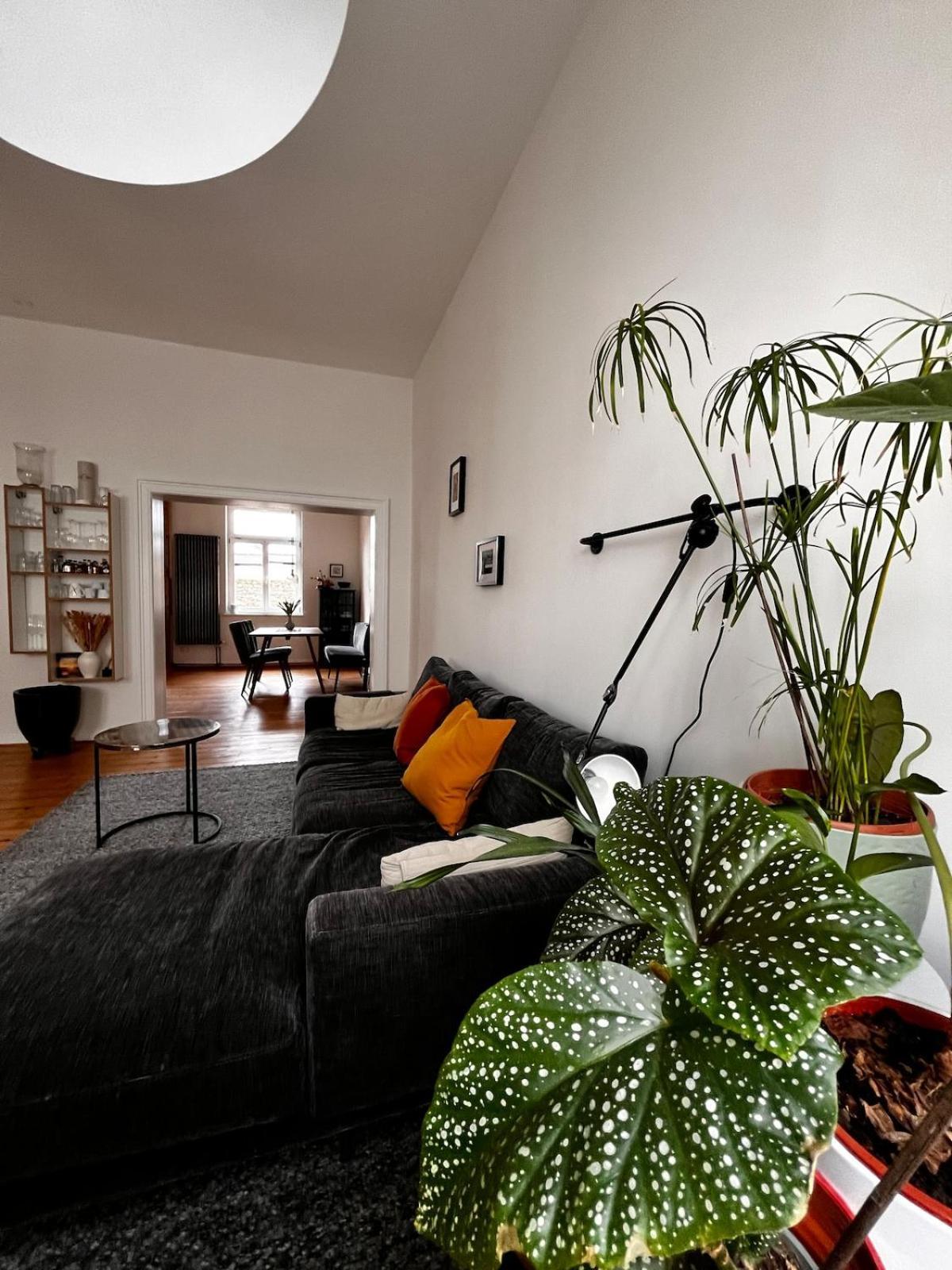 Apartment - Historic Charm Wiesbaden